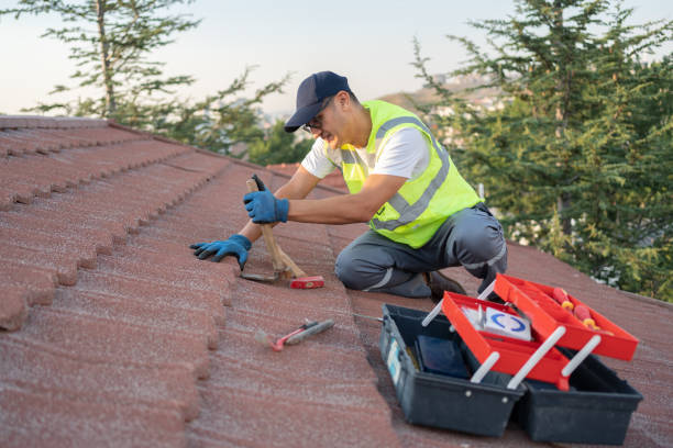 Best Metal Roofing Contractor  in Emporia, VA