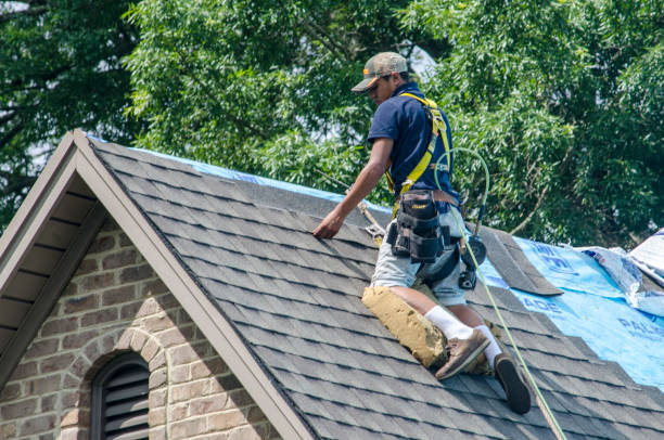 Best Roof Leak Repair  in Emporia, VA